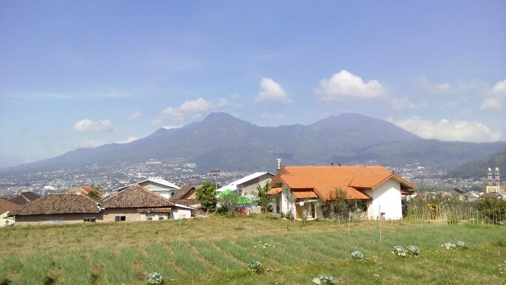 Shanty'S House バトゥ エクステリア 写真