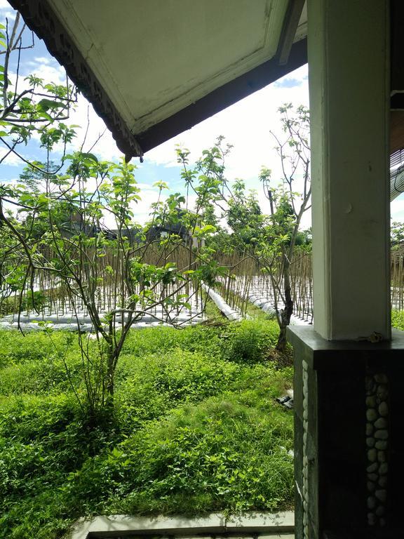 Shanty'S House バトゥ エクステリア 写真